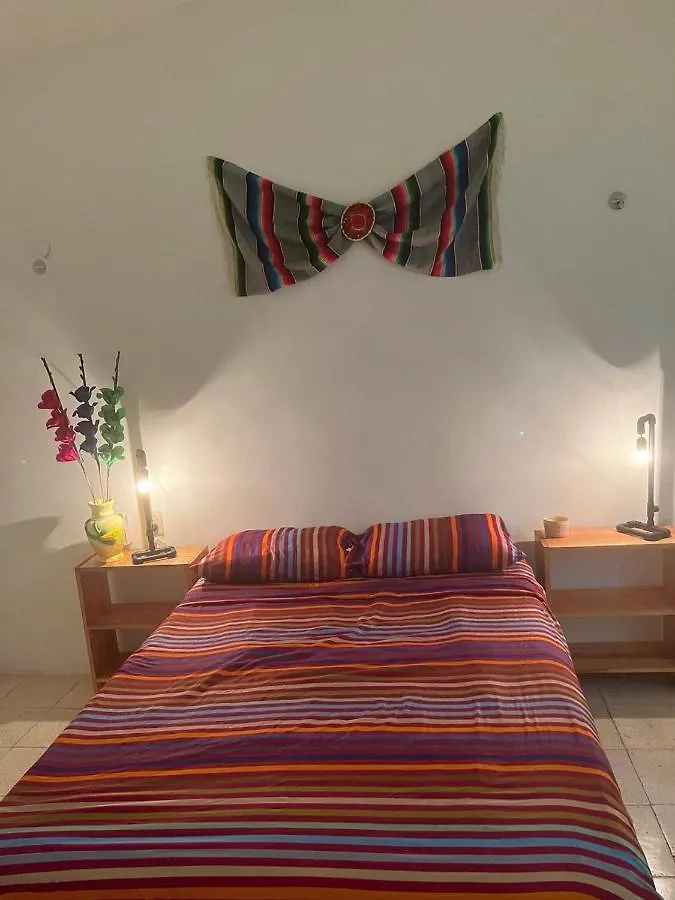 Housing Colors Vandrarhem Cancún