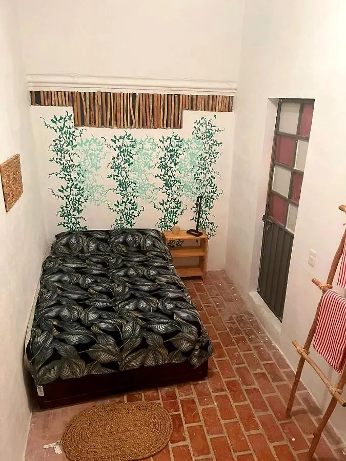 Housing Colors Hostel Cancún